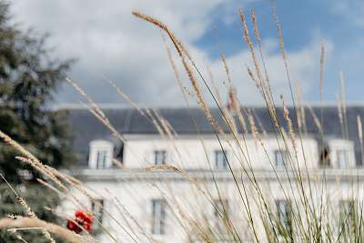 La mairie de Pontault-Combault au travers les hautes herbes